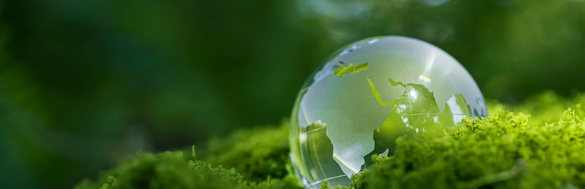 Environmental Management