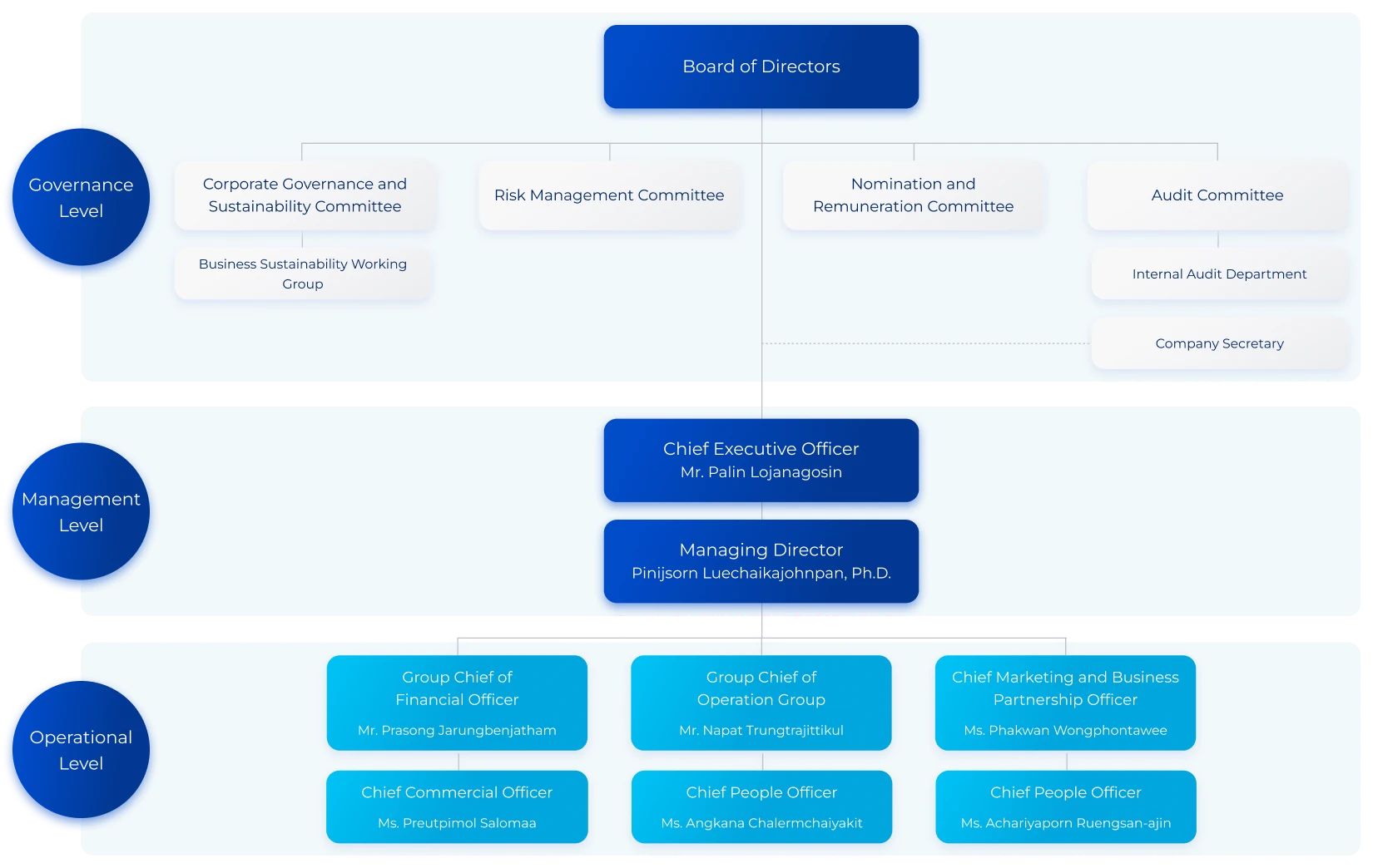 Governance Structure