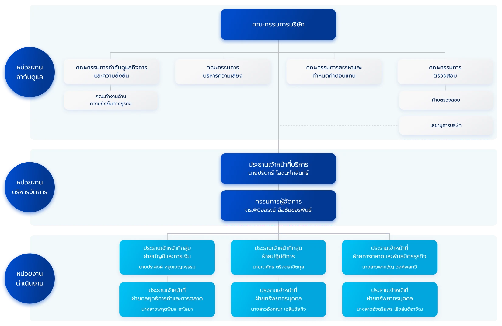 Governance Structure