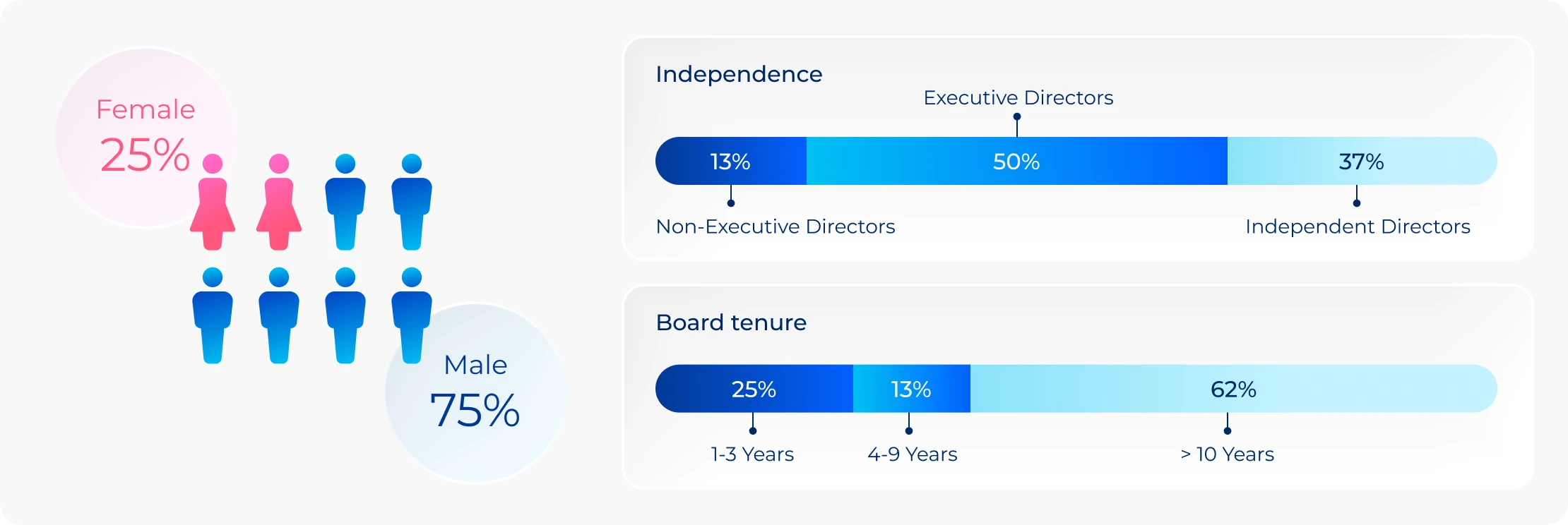 Board Diversity