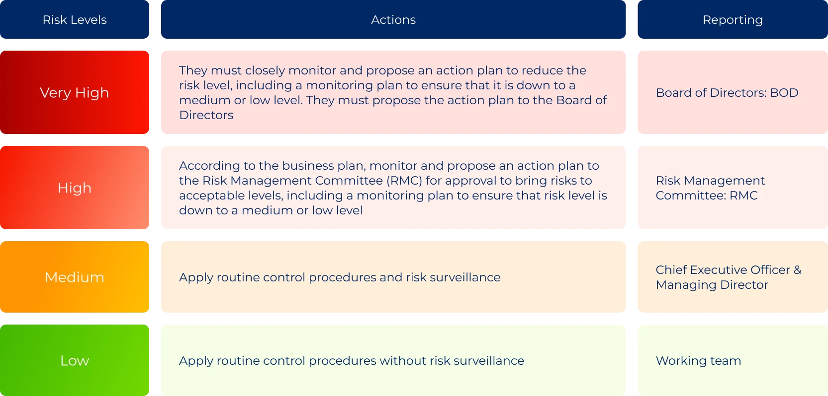 Risk Management Implementation and Reporting Guidelines
